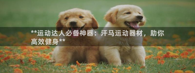 德国意昂3集团：**运动达人必备神器：汗马运动器材，