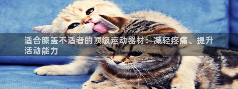 意昂3娱乐40996：适合膝盖不适者的顶级运动器材：