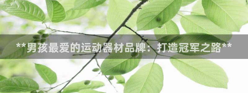 意昂3娱乐平台：**男孩最爱的运动器材品牌：打造冠军