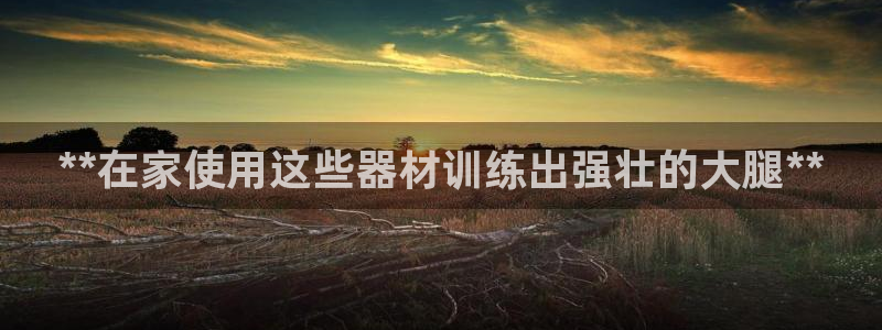 意昂3官方：**在家使用这些器材训练出强壮的大腿**