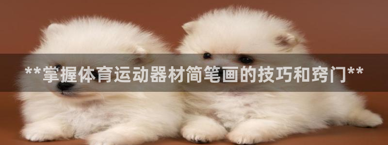 意昂3娱乐网站：**掌握体育运动器材简笔画的技巧和窍