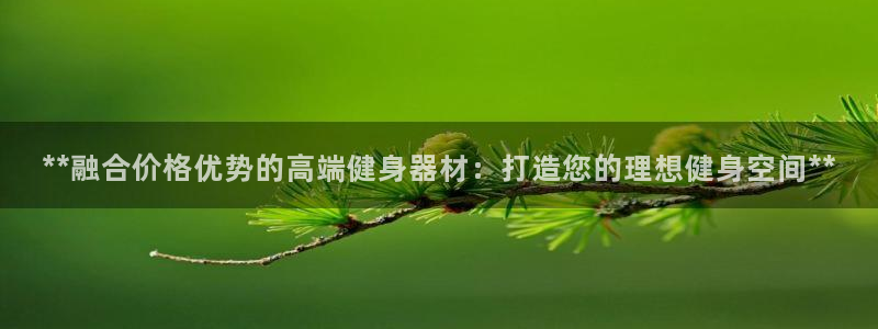 意昂3集团logo：**融合价格优势的高端健身器材：