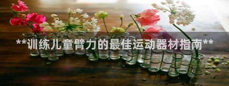 意昂体育3平台注册流程视频：**训练儿童臂力的最佳运
