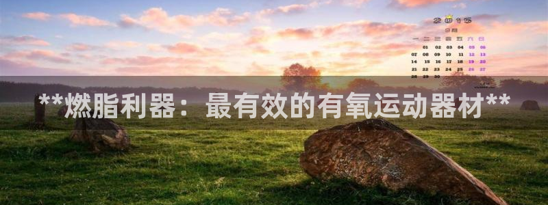 意昂体育3平台注册：**燃脂利器：最有效的有氧运动器