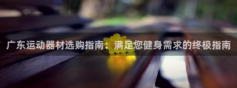 意昂体育3是干嘛的公司：广东运动器材选购指南：满足您