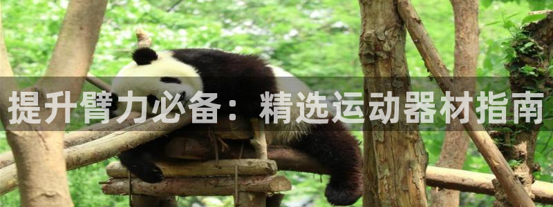 意昂体育3招商：提升臂力必备：精选运动器材指南