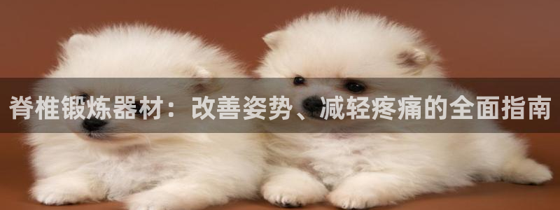 意昂3神州：脊椎锻炼器材：改善姿势、减轻疼痛的全面指