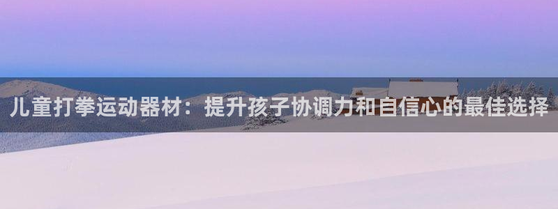 意昂体育3平台APP：儿童打拳运动器材：提升孩子协调