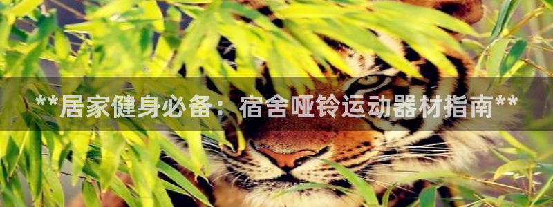 意昂体育3平台注册流程图：**居家健身必备：宿舍哑铃