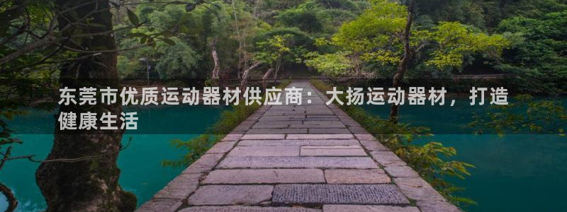 海南意昂体育3发展怎么样：东莞市优质运动器材供应商：