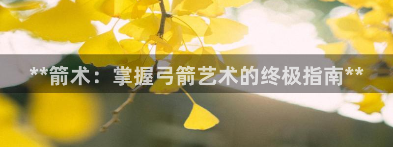 意昂体育3招商电话号码是多少啊：**箭术：掌握弓箭艺