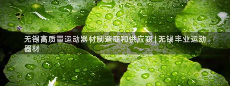意昂体育3平台是正规平台吗：无锡高质量运动器材制造商