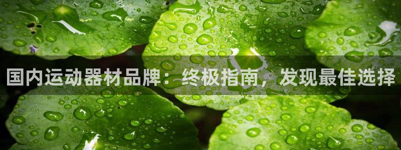 意昂体育3娱乐：国内运动器材品牌：终极指南，发现最佳
