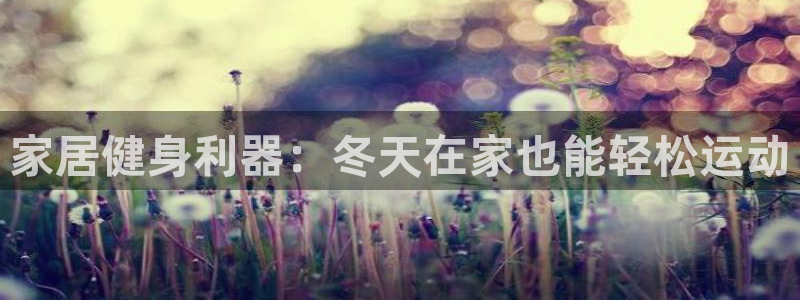 意昂3娱乐40996：家居健身利器：冬天在家也能轻松