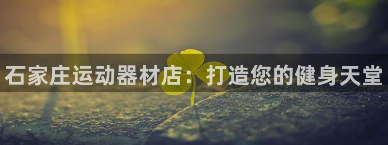 意昂体育3平台注册要钱吗安全吗：石家庄运动器材店：打