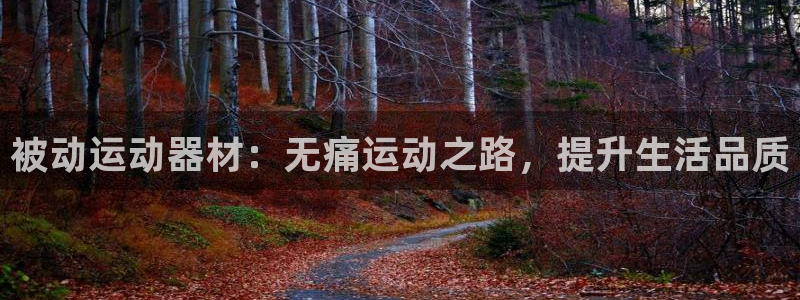 意昂体育3联系电话：被动运动器材：无痛运动之路，提升