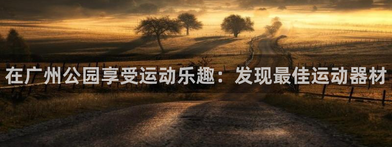 意昂体育3是干嘛的公司：在广州公园享受运动乐趣：发现