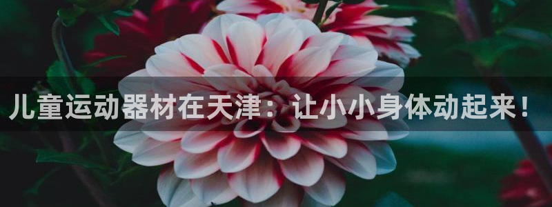 意昂体育3官方客服电话：儿童运动器材在天津：让小小身