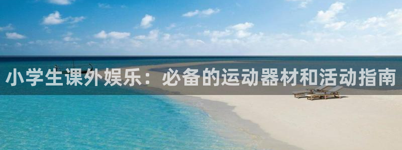 意昂3集团：小学生课外娱乐：必备的运动器材和活动指南