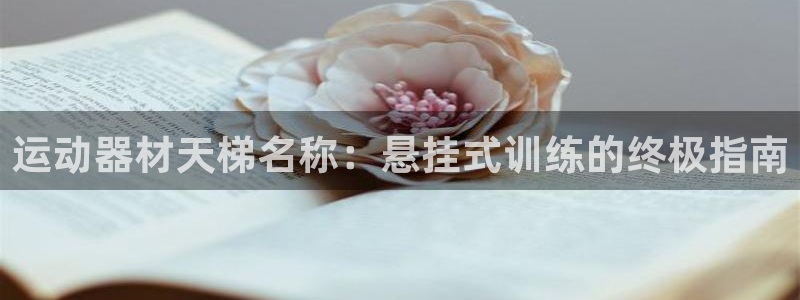 意昂体育3平台是正规平台吗：运动器材天梯名称：悬挂式