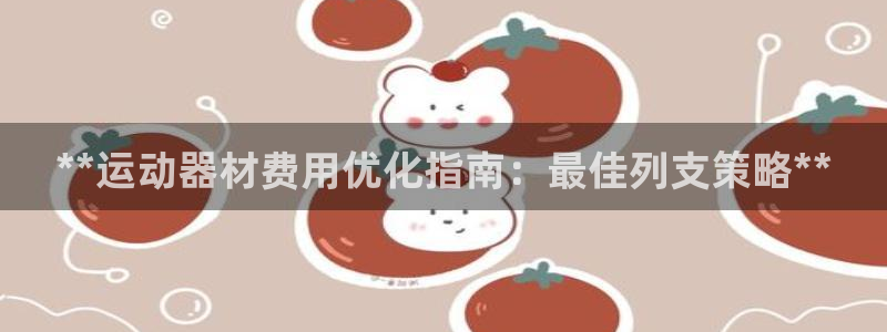 意昂3五金厂：**运动器材费用优化指南：最佳列支策略
