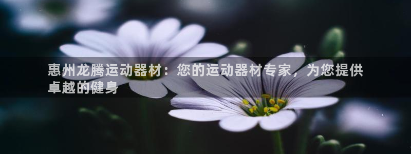 意昂体育3平台注册要钱吗：惠州龙腾运动器材：您的运动