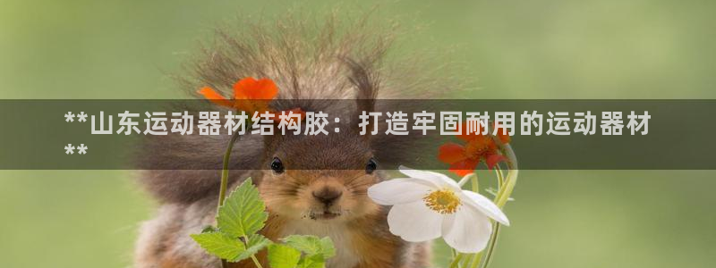 意昂体育3招商电话地址：**山东运动器材结构胶：打造