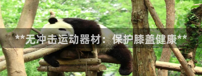 意昂3五金厂：**无冲击运动器材：保护膝盖健康**