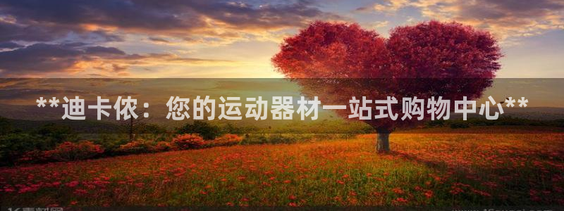 意昂体育3招商电话号码：**迪卡侬：您的运动器材一站