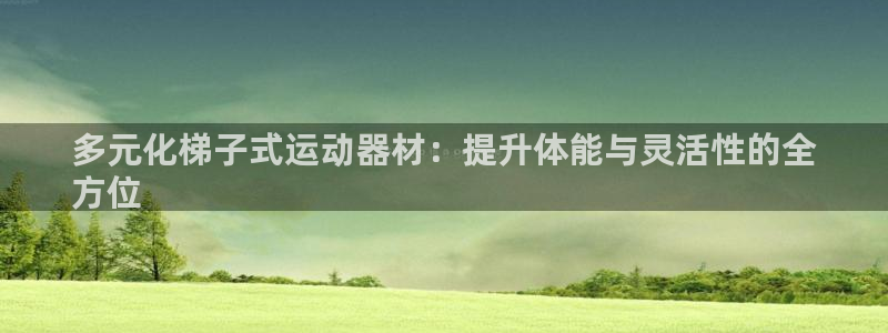 意昂体育3娱乐：多元化梯子式运动器材：提升体能与灵活