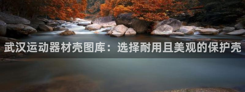 意昂3集团官网首页网址：武汉运动器材壳图库：选择耐用