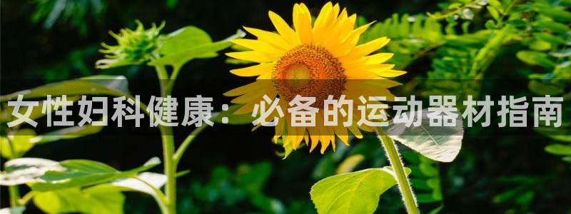 意昂3官网：女性妇科健康：必备的运动器材指南