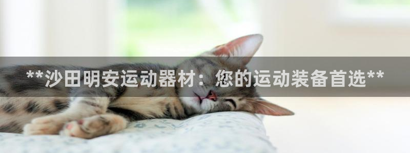 意昂体育3软件：**沙田明安运动器材：您的运动装备首