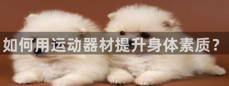 意昂体育3招商电话：如何用运动器材提升身体素质？