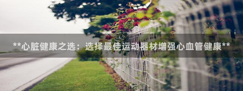 意昂体育3注册：**心脏健康之选：选择最佳运动器材增