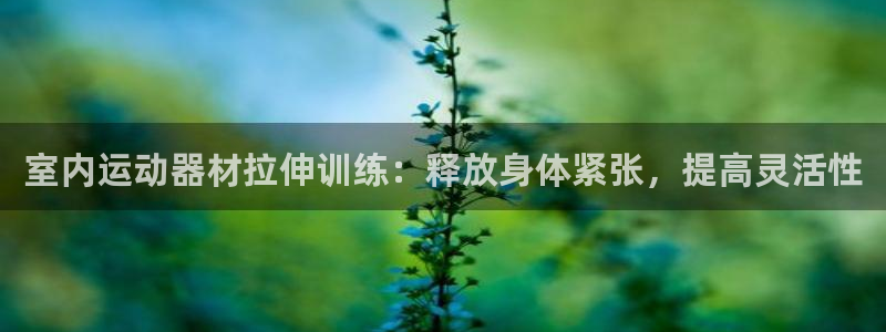 意昂体育3招商电话：室内运动器材拉伸训练：释放身体紧