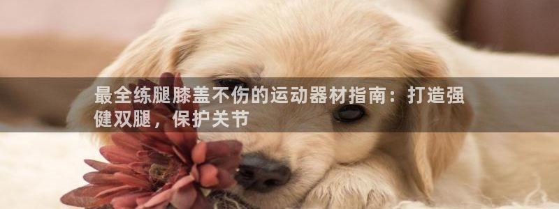 意昂3科技：最全练腿膝盖不伤的运动器材指南：打造强
