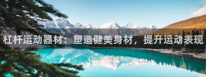 意昂体育3招商电话是多少号码：杠杆运动器材：塑造健美