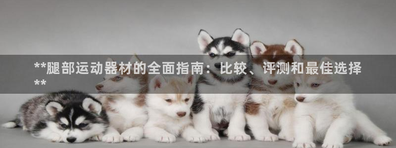 意昂体育3平台假的吗是真的吗：**腿部运动器材的全面