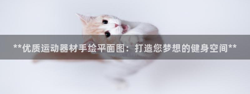 意昂体育3招商：**优质运动器材手绘平面图：打造您梦想的健身