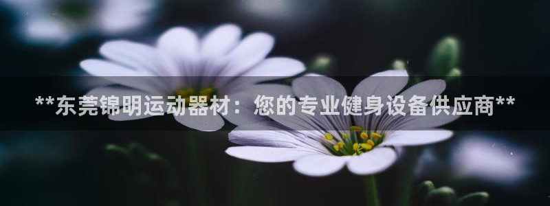 意昂3新能源：**东莞锦明运动器材：您的专业健身设备供应商*