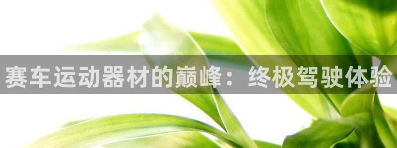 德国意昂3集团：赛车运动器材的巅峰：终极驾驶体验