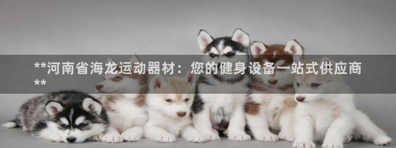 意昂平台体育：**河南省海龙运动器材：您的健身设备一