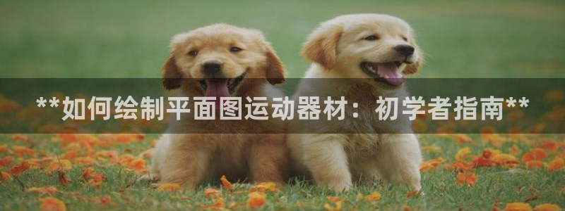 意昂3娱乐网站：**如何绘制平面图运动器材：初学者指