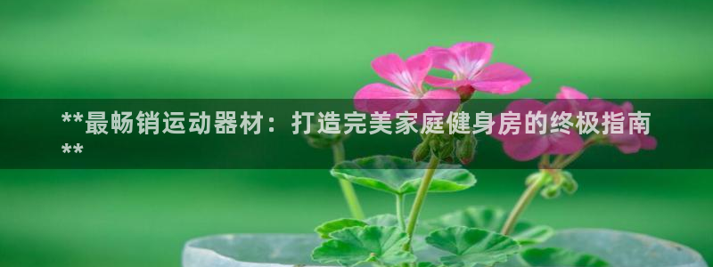 意昂体育3平台：**最畅销运动器材：打造完美家庭健身