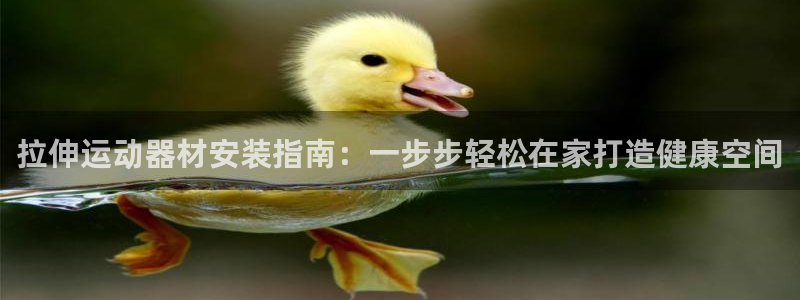 意昂3娱乐40996：拉伸运动器材安装指南：一步步轻