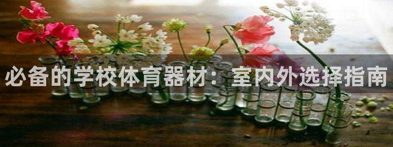 意昂体育3平台注册要钱吗：必备的学校体育器材：室内外