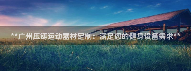 意昂体育3平台是正规平台吗知乎：**广州压铸运动器材
