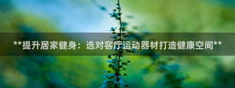 意昂3官方：**提升居家健身：选对客厅运动器材打造健