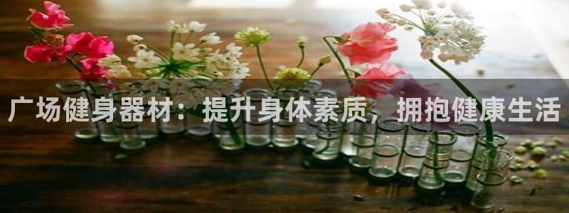 德国意昂3集团：广场健身器材：提升身体素质，拥抱健康